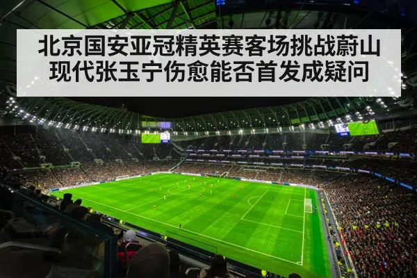 北京国安亚冠精英赛客场挑战蔚山现代张玉宁伤愈能否首发成疑问