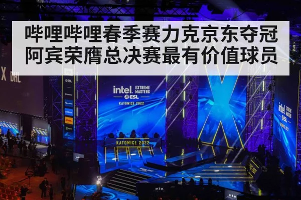 哔哩哔哩春季赛力克京东夺冠阿宾荣膺总决赛最有价值球员