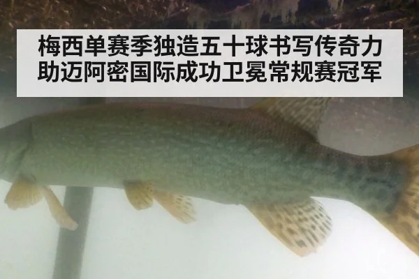 梅西单赛季独造五十球书写传奇力助迈阿密国际成功卫冕常规赛冠军
